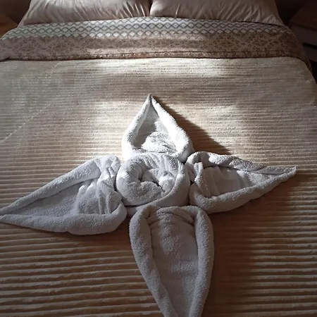 Apartman Aleksandrija