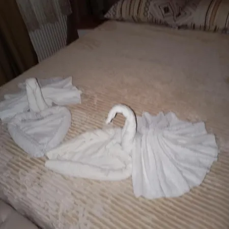 Apartment Aleksandrija Nis