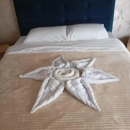 Aleksandrija * Nis